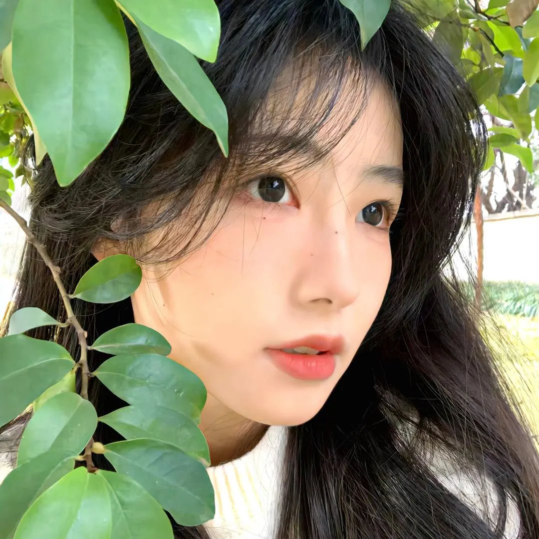 低地